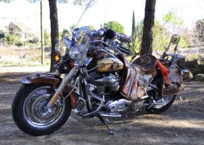 Moto personalizada Harley Davidson